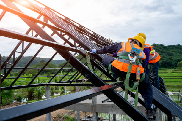 Best Sealant for Roof  in North Les, AK