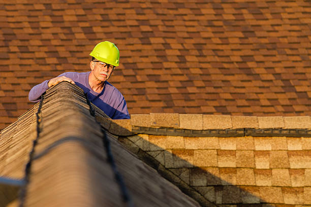 Roof Gutter Cleaning in North Lakes, AK